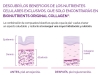 0_bionutrients-original-collagen-sec-b.jpg